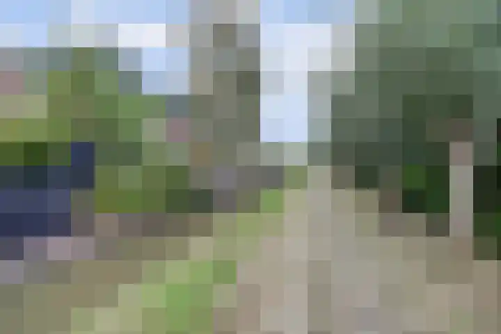 Salamanderveen 222 Spijkenisse thumbnail 54