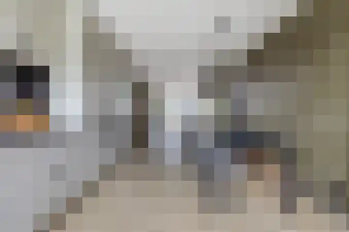 Salamanderveen 222 Spijkenisse thumbnail 6