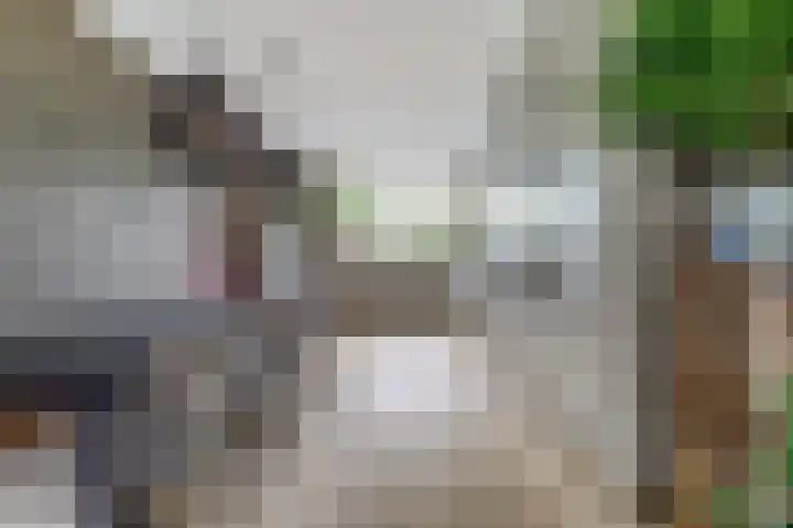 Salamanderveen 222 Spijkenisse thumbnail 7