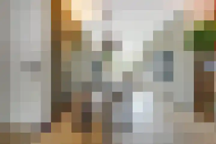 Salamanderveen 222 Spijkenisse thumbnail 8