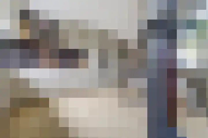 Salamanderveen 222 Spijkenisse thumbnail 9