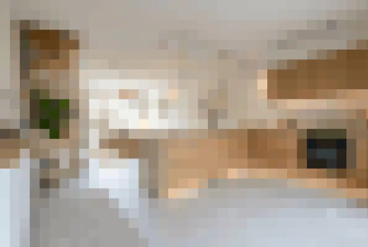 Salamanderveen 246 Spijkenisse thumbnail 10