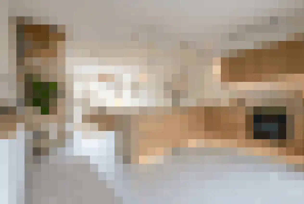 Salamanderveen 246 Spijkenisse thumbnail 11
