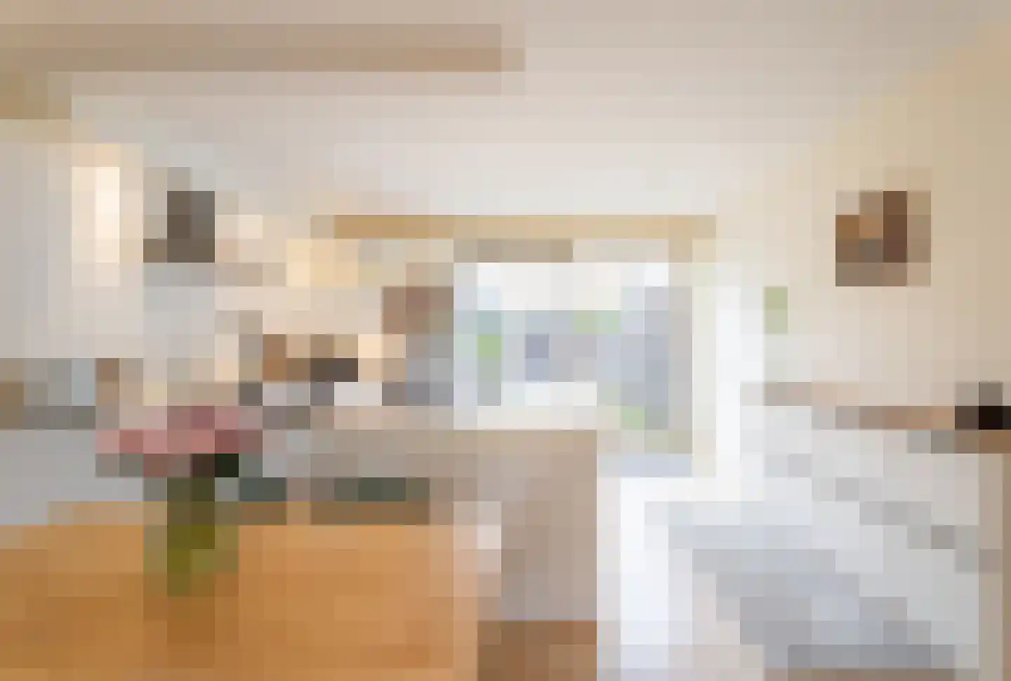 Salamanderveen 246 Spijkenisse thumbnail 11