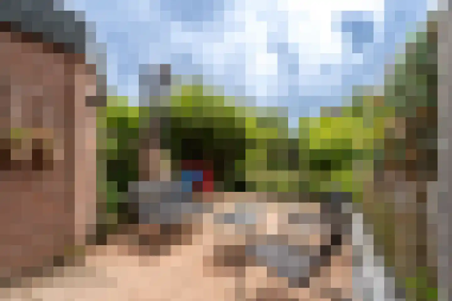 Salamanderveen 246 Spijkenisse thumbnail 15