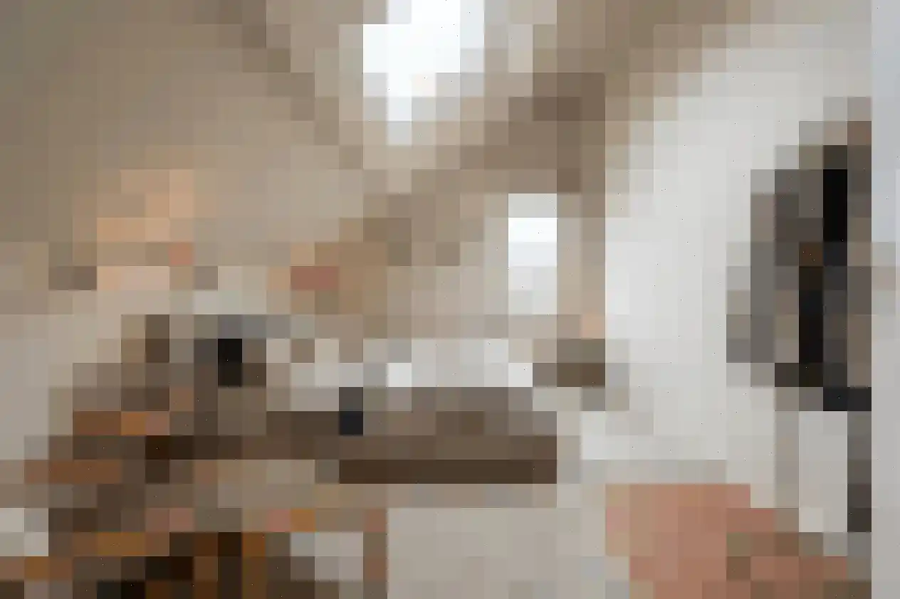 Salamanderveen 246 Spijkenisse thumbnail 29