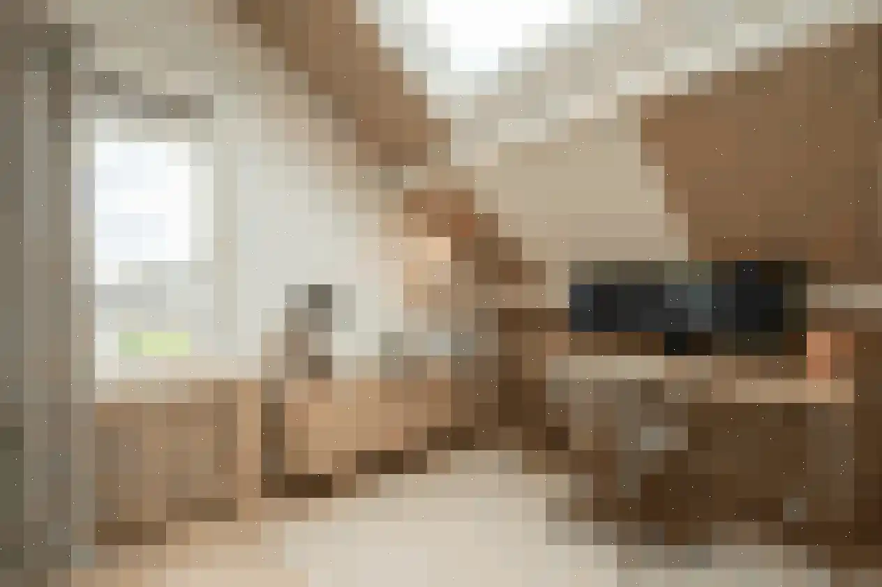 Salamanderveen 246 Spijkenisse thumbnail 32