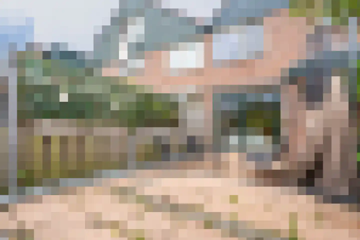 Salamanderveen 246 Spijkenisse thumbnail 4