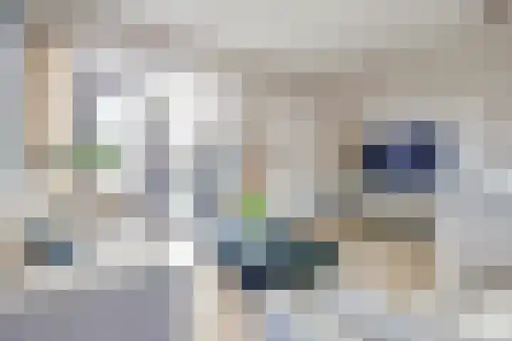 Salamanderveen 252 Spijkenisse thumbnail 10