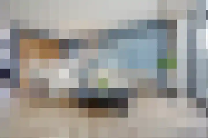 Salamanderveen 252 Spijkenisse thumbnail 11