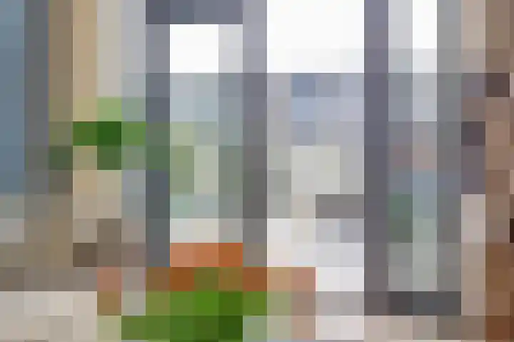 Salamanderveen 252 Spijkenisse thumbnail 12