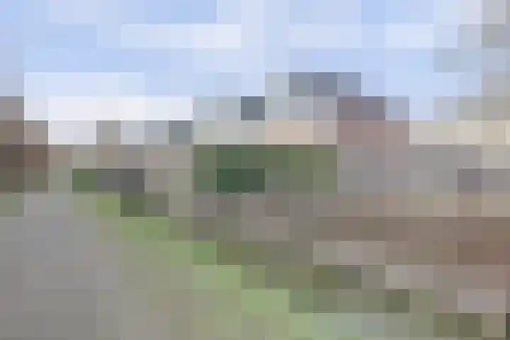 Salamanderveen 252 Spijkenisse thumbnail 42