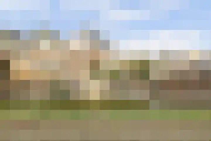 Salamanderveen 252 Spijkenisse thumbnail 43