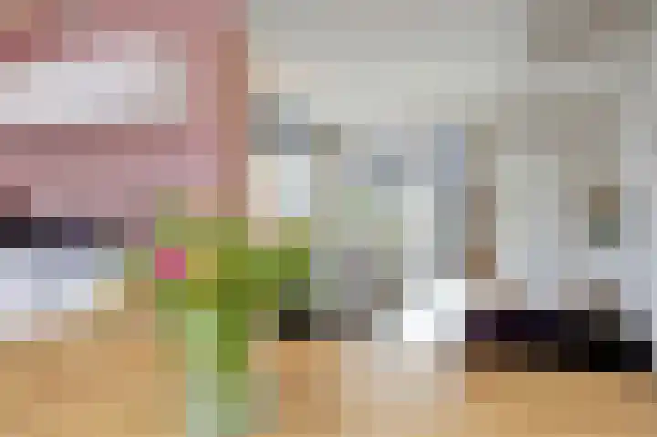 Salamanderveen 252 Spijkenisse thumbnail 8