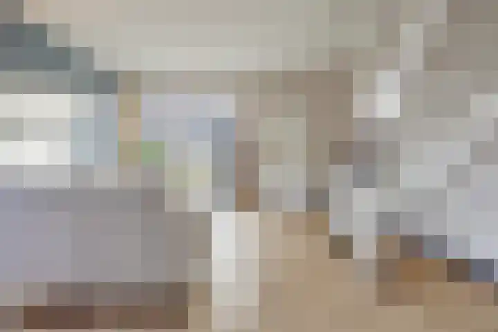 Salamanderveen 252 Spijkenisse thumbnail 9