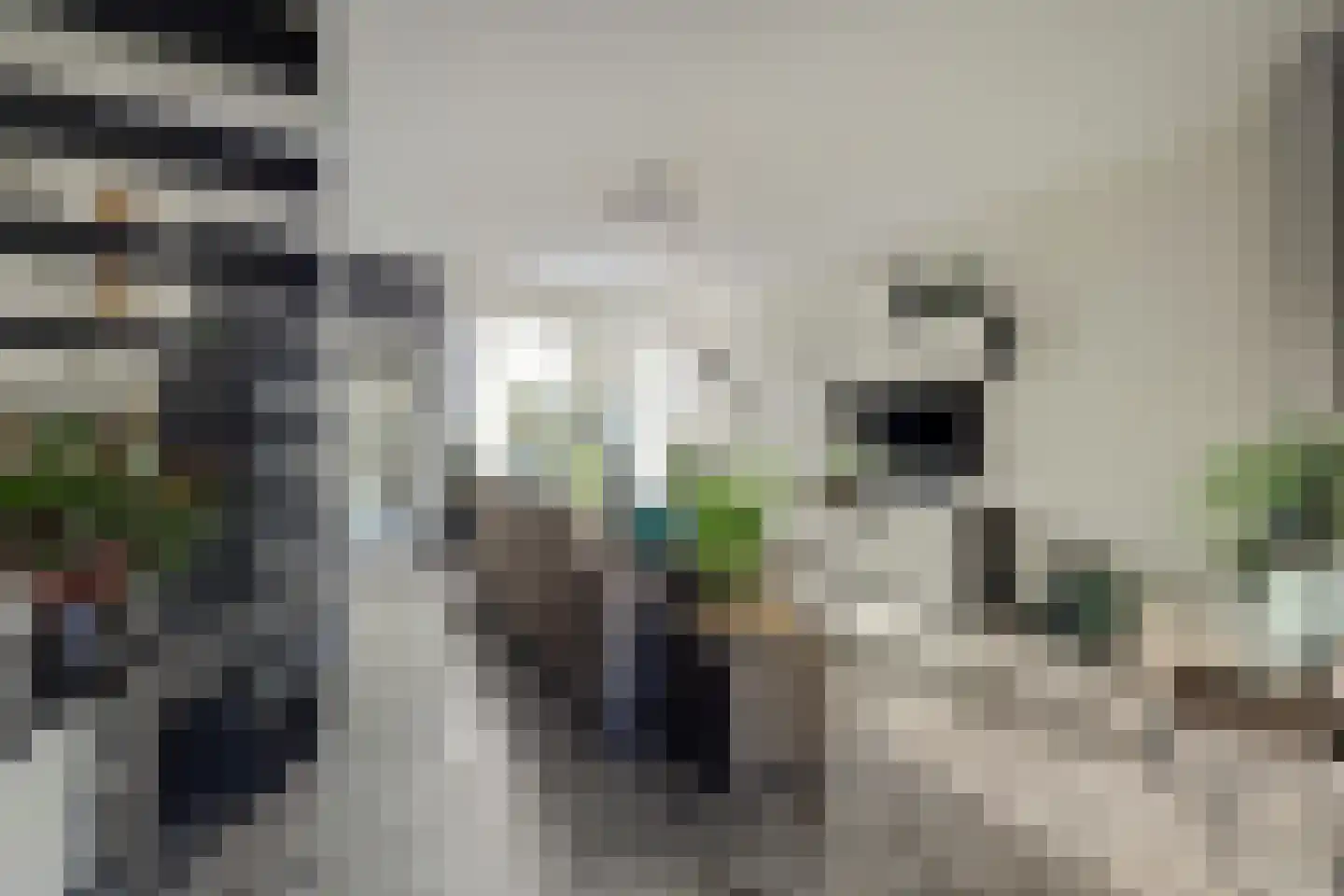Salamanderveen 307 Spijkenisse thumbnail 10
