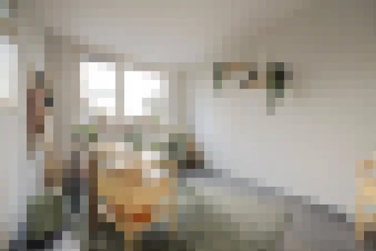 Salamanderveen 307 Spijkenisse thumbnail 25