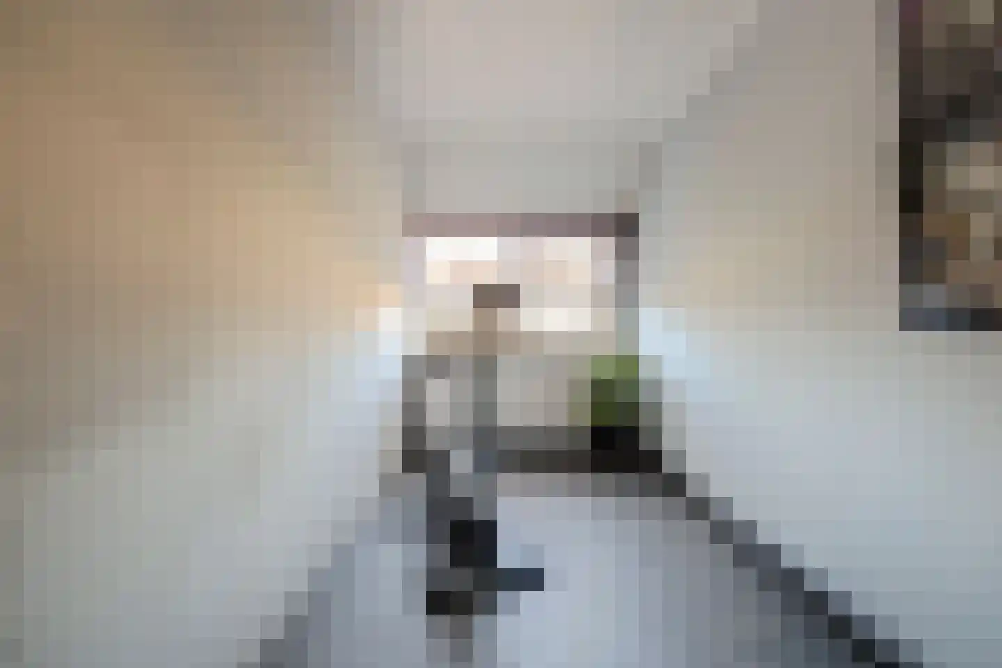 Salamanderveen 307 Spijkenisse thumbnail 32