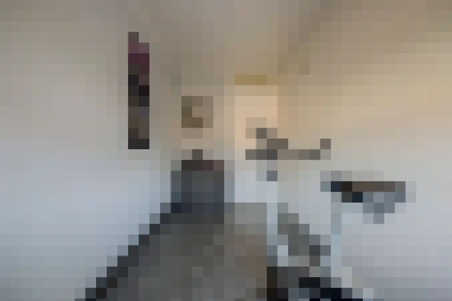 Salamanderveen 307 Spijkenisse thumbnail 33