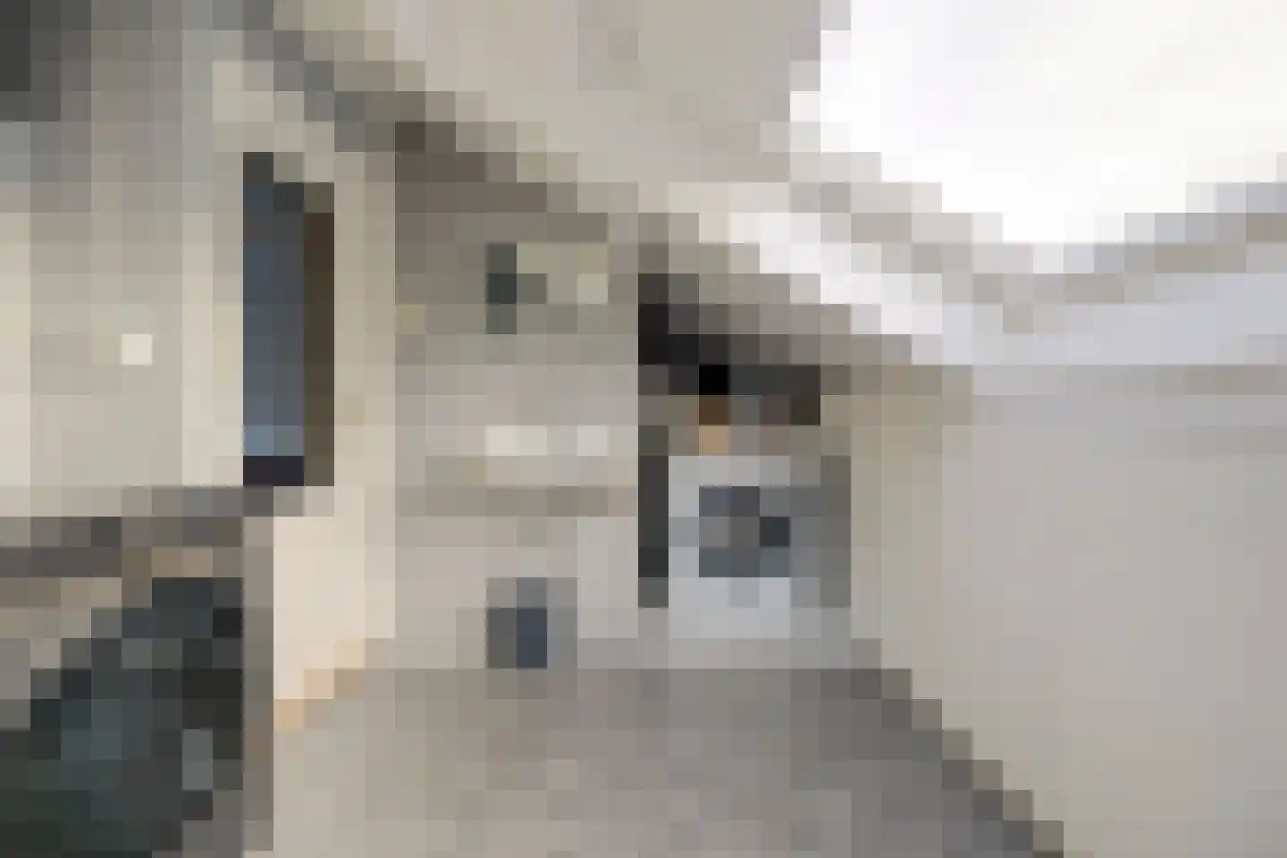 Salamanderveen 307 Spijkenisse thumbnail 35