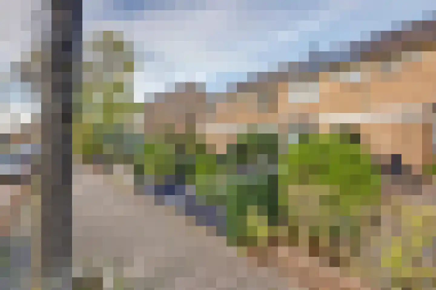 Salamanderveen 307 Spijkenisse thumbnail 41