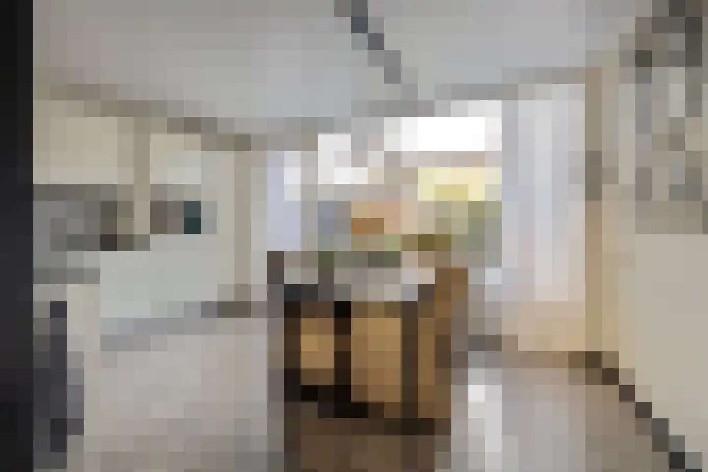 Salamanderveen 307 Spijkenisse thumbnail 5