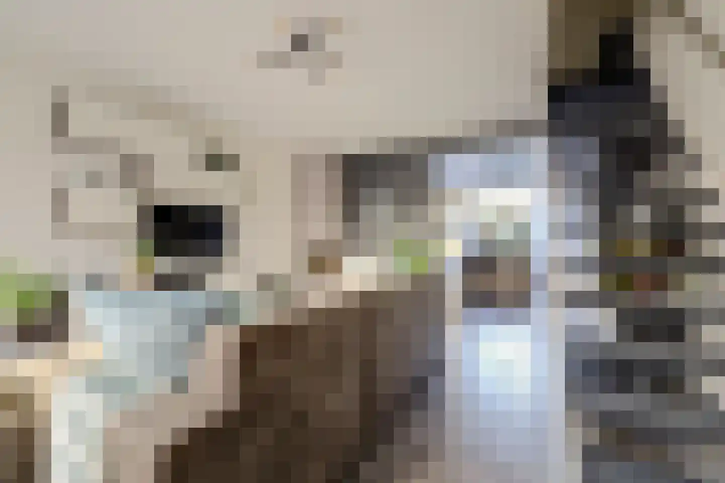 Salamanderveen 307 Spijkenisse thumbnail 8