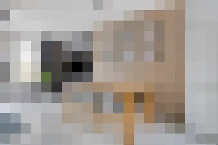 Salamanderveen 326 Spijkenisse thumbnail 12