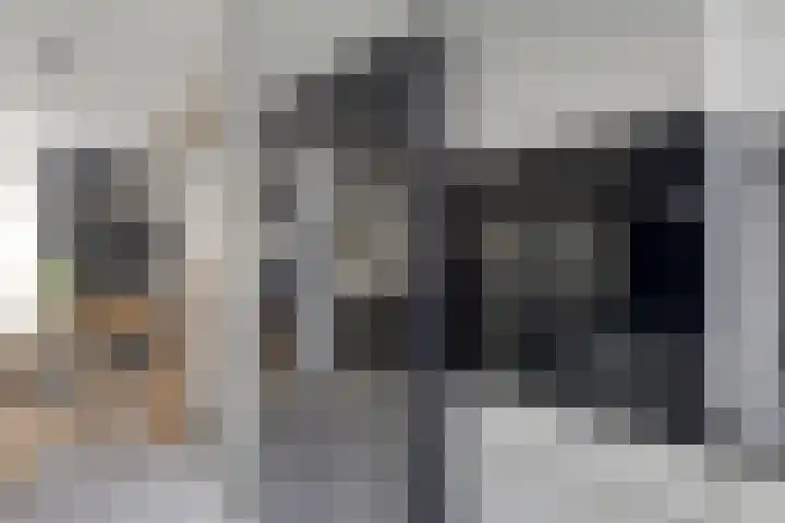 Salamanderveen 326 Spijkenisse thumbnail 16