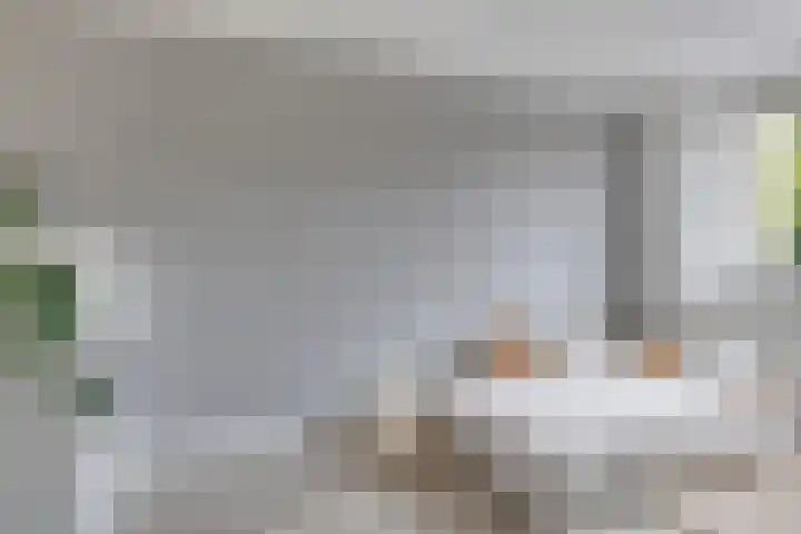 Salamanderveen 326 Spijkenisse thumbnail 17