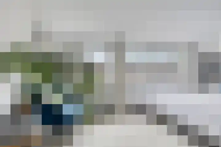 Salamanderveen 326 Spijkenisse thumbnail 26