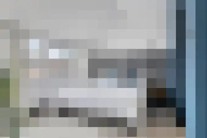 Salamanderveen 326 Spijkenisse thumbnail 27
