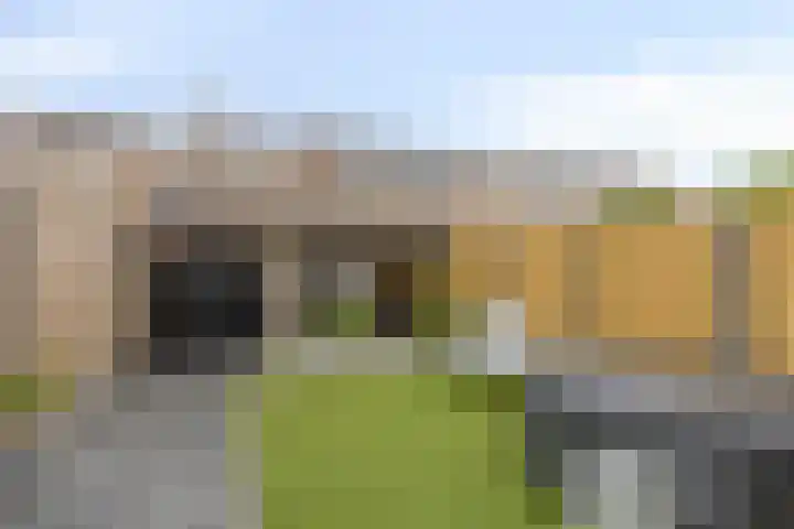 Salamanderveen 326 Spijkenisse thumbnail 31