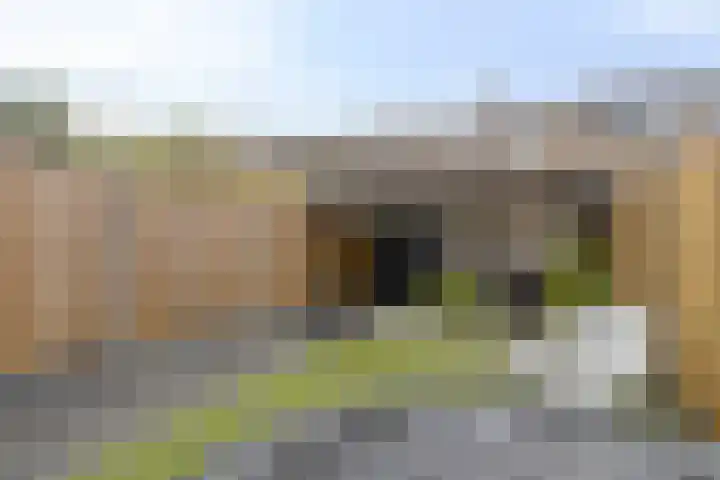Salamanderveen 326 Spijkenisse thumbnail 32