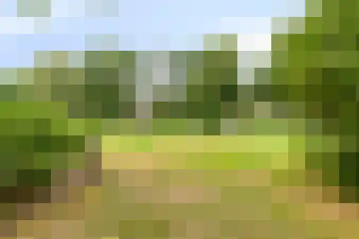 Salamanderveen 326 Spijkenisse thumbnail 34