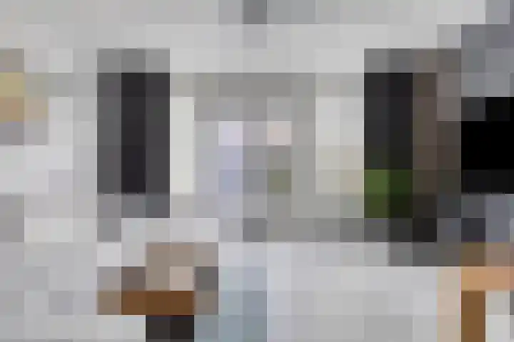 Salamanderveen 326 Spijkenisse thumbnail 8