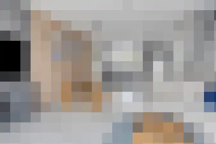 Salamanderveen 326 Spijkenisse thumbnail 9