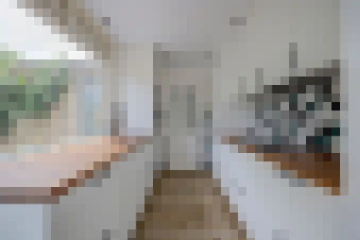 Salamanderveen 345 Spijkenisse thumbnail 10
