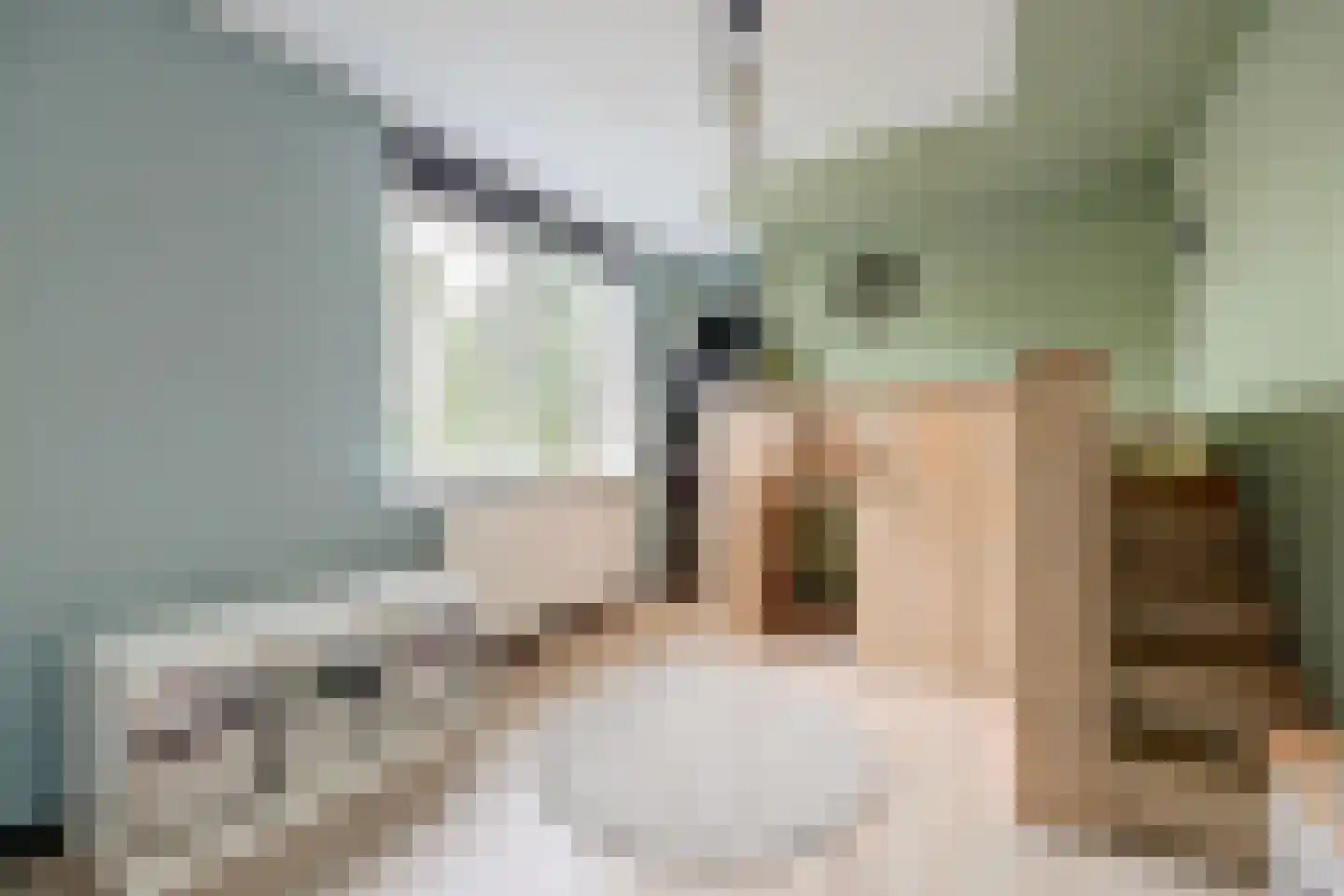 Salamanderveen 345 Spijkenisse thumbnail 17