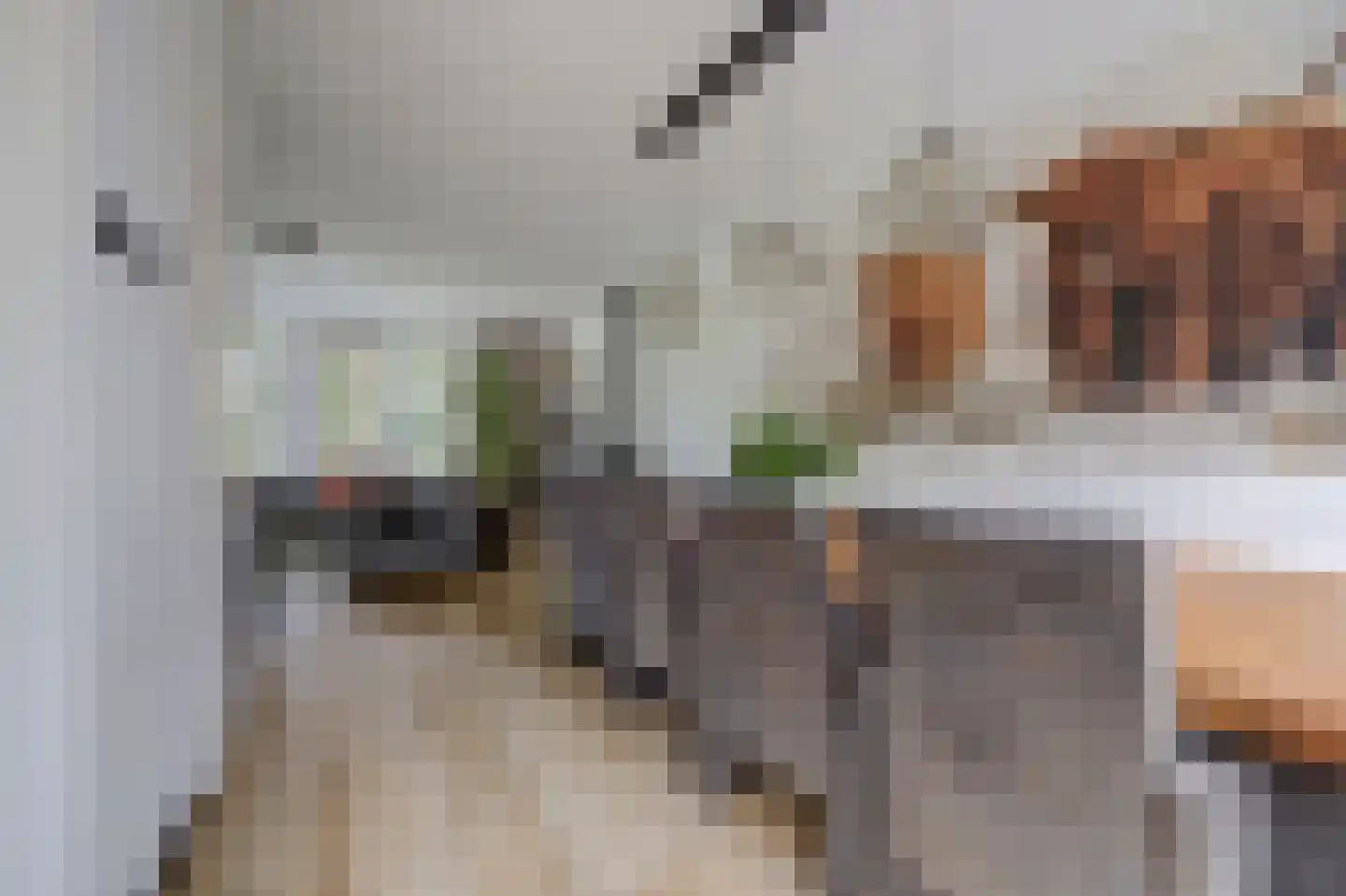 Salamanderveen 345 Spijkenisse thumbnail 9