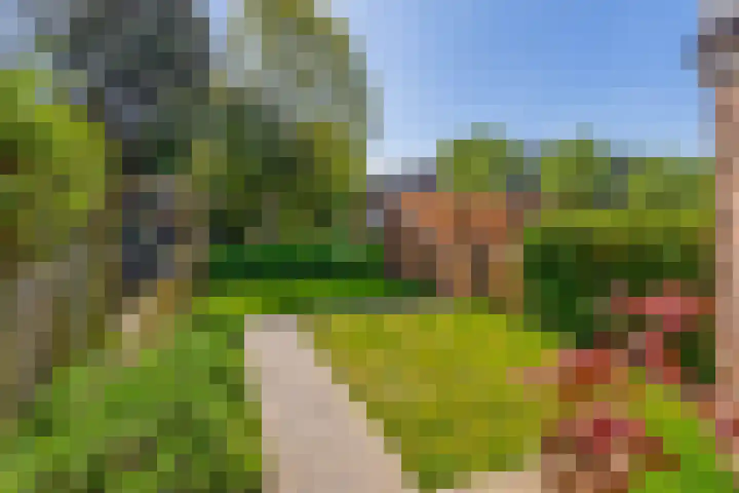 Salamanderveen 372 Spijkenisse thumbnail 23