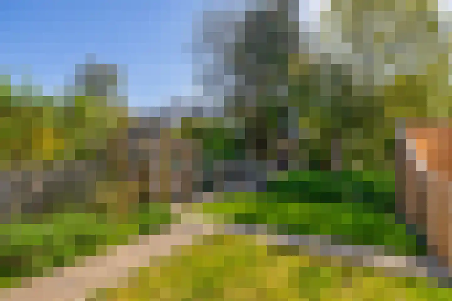 Salamanderveen 372 Spijkenisse thumbnail 5