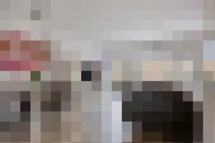 Salamanderweide 7 Pijnacker thumbnail 13