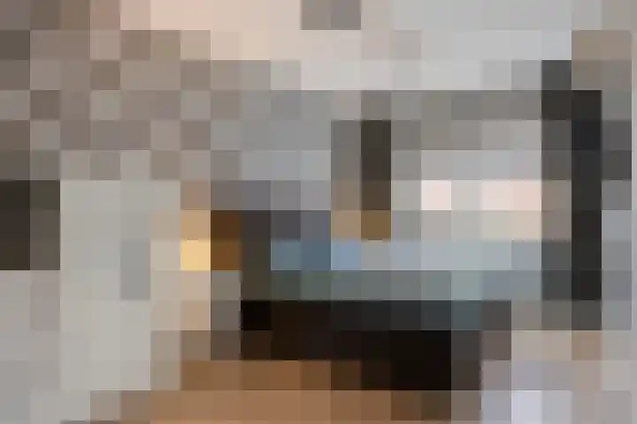 Salamanderweide 7 Pijnacker thumbnail 23