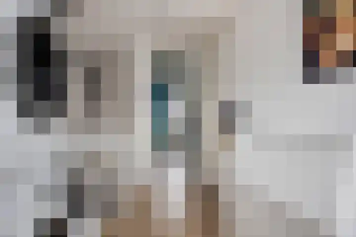 Salamanderweide 7 Pijnacker thumbnail 33