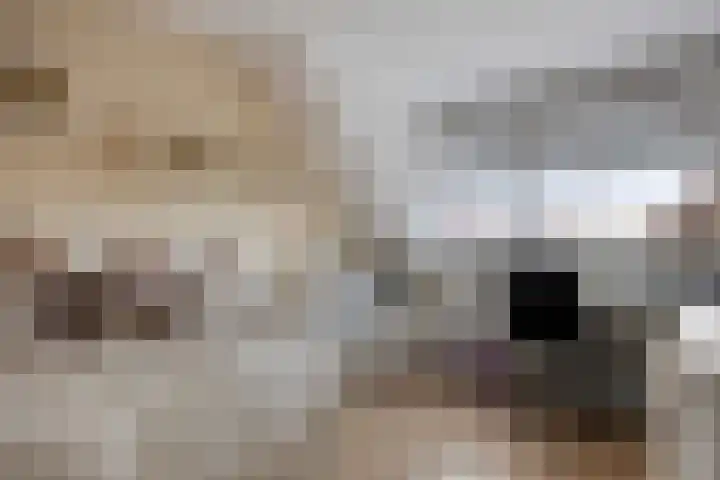 Salamanderweide 7 Pijnacker thumbnail 37