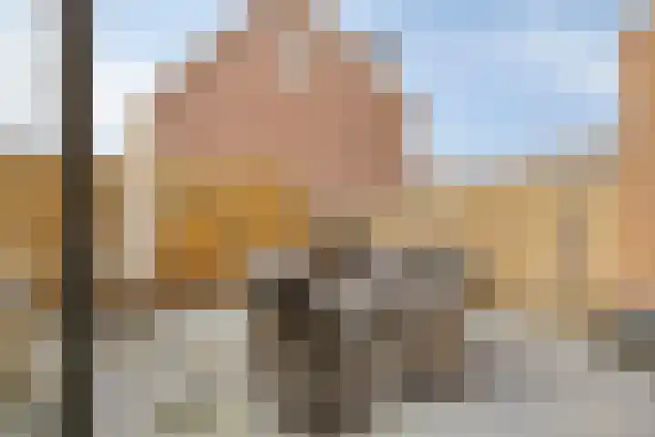 Salamanderweide 7 Pijnacker thumbnail 39