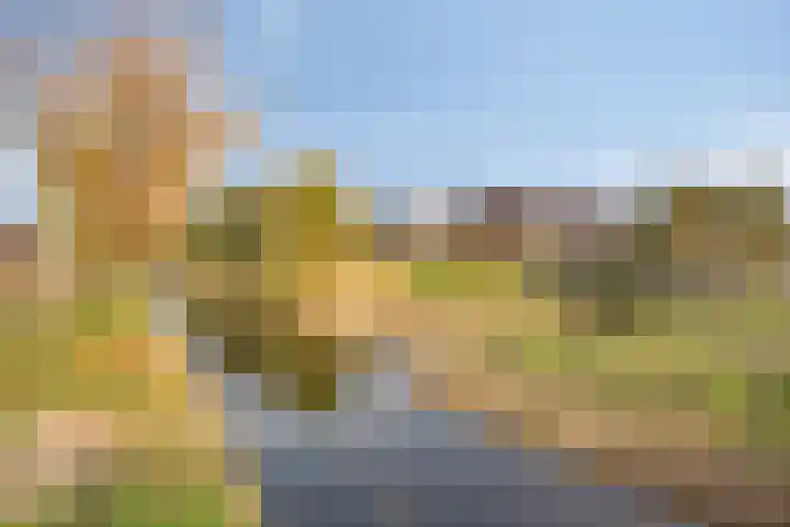 Salamanderweide 7 Pijnacker thumbnail 4