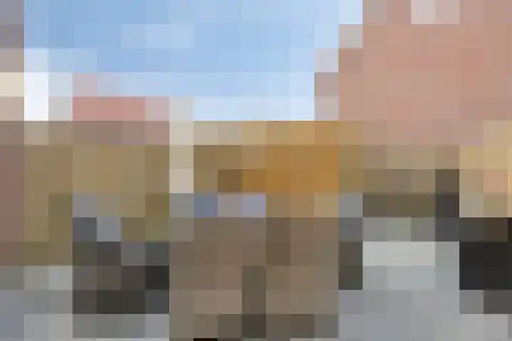 Salamanderweide 7 Pijnacker thumbnail 40