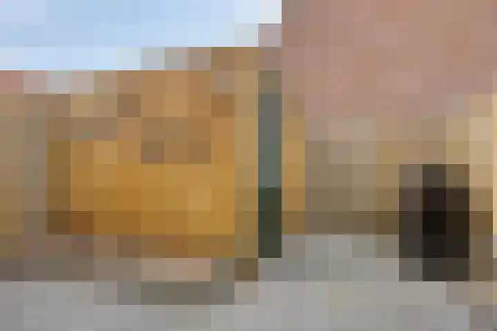 Salamanderweide 7 Pijnacker thumbnail 42